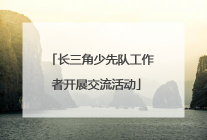长三角少先队工作者开展交流活动