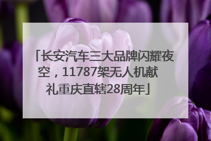 长安汽车三大品牌闪耀夜空，11787架无人机献礼重庆直辖28周年