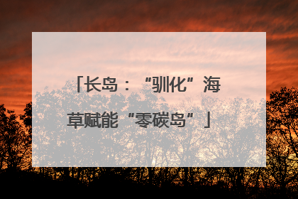 长岛：“驯化”海草赋能“零碳岛”