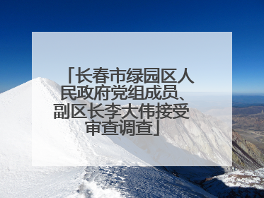 长春市绿园区人民政府党组成员、副区长李大伟接受审查调查