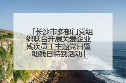 长沙市多部门党组织联合开展关爱企业残疾员工主题党日暨助残日特别活动