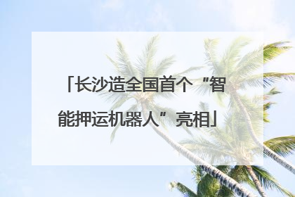 长沙造全国首个“智能押运机器人”亮相