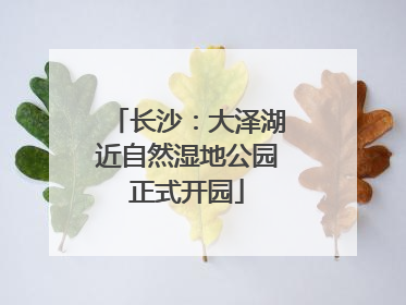 长沙：大泽湖近自然湿地公园正式开园