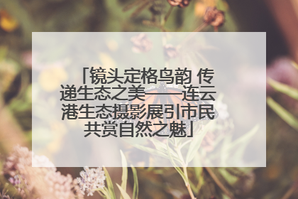 镜头定格鸟韵 传递生态之美——连云港生态摄影展引市民共赏自然之魅