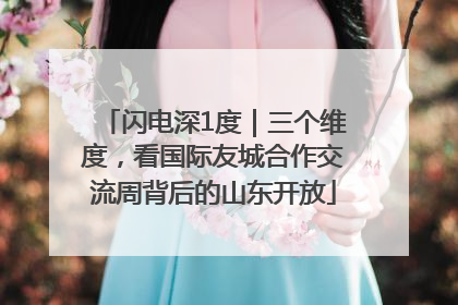 闪电深1度｜三个维度，看国际友城合作交流周背后的山东开放
