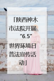 陕西神木市法院开展“6.5”世界环境日普法宣传活动
