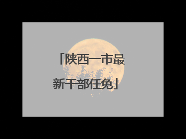 陕西一市最新干部任免