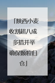 陕西小麦收割超八成 多措并举确保颗粒归仓