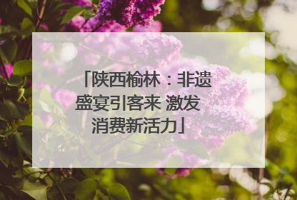 陕西榆林：非遗盛宴引客来 激发消费新活力