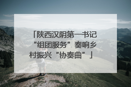 陕西汉阴第一书记“组团服务”奏响乡村振兴“协奏曲”