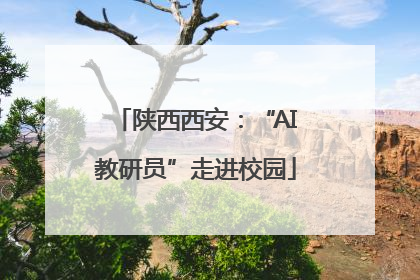 陕西西安：“AI教研员”走进校园
