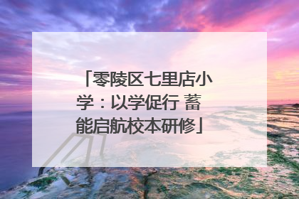 零陵区七里店小学：以学促行 蓄能启航校本研修