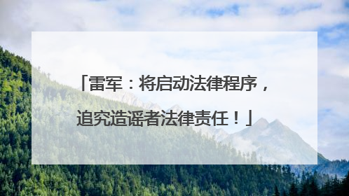 雷军：将启动法律程序，追究造谣者法律责任！