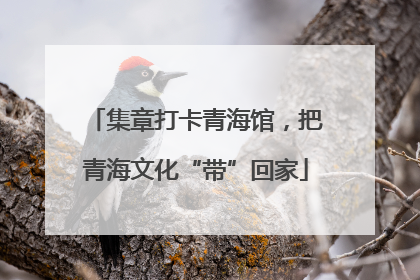 集章打卡青海馆，把青海文化“带”回家