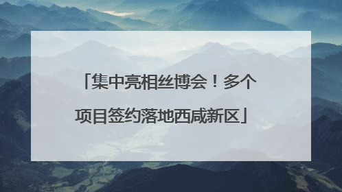 集中亮相丝博会！多个项目签约落地西咸新区