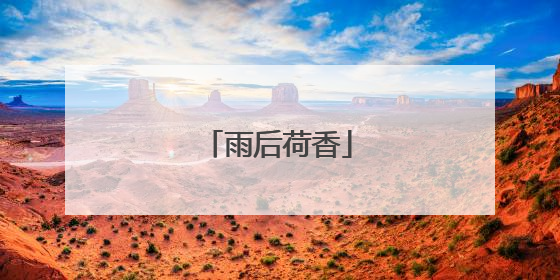雨后荷香