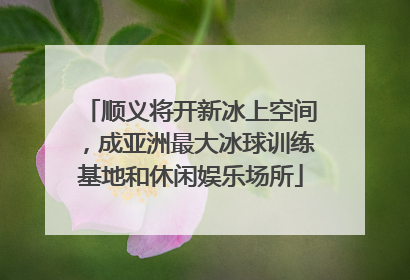 顺义将开新冰上空间，成亚洲最大冰球训练基地和休闲娱乐场所