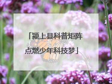 颍上县科普矩阵点燃少年科技梦