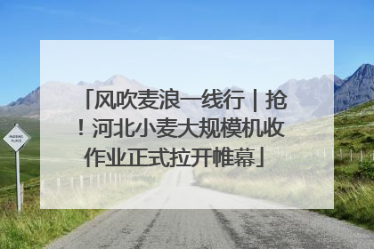 风吹麦浪一线行｜抢！河北小麦大规模机收作业正式拉开帷幕