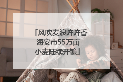 风吹麦浪阵阵香 海安市55万亩小麦陆续开镰
