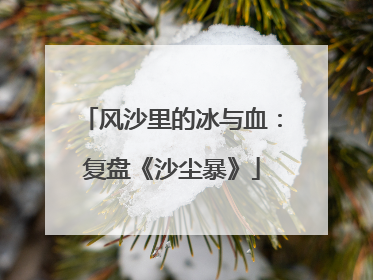 风沙里的冰与血：复盘《沙尘暴》