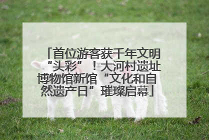 首位游客获千年文明“头彩”！大河村遗址博物馆新馆“文化和自然遗产日”璀璨启幕