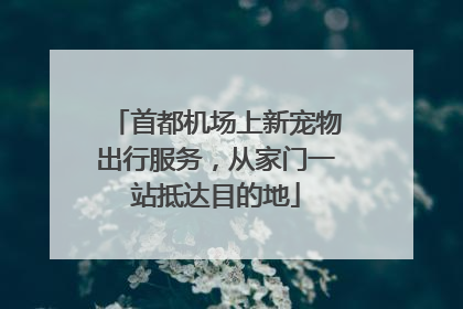 首都机场上新宠物出行服务，从家门一站抵达目的地