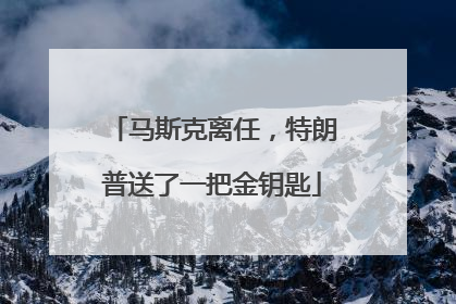 马斯克离任，特朗普送了一把金钥匙