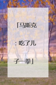 马斯克：吃了儿子一拳