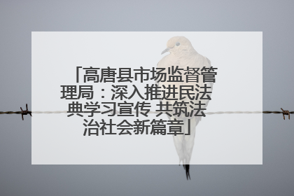 高唐县市场监督管理局：深入推进民法典学习宣传 共筑法治社会新篇章