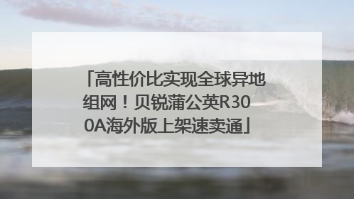 高性价比实现全球异地组网！贝锐蒲公英R300A海外版上架速卖通