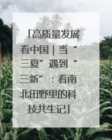 高质量发展看中国｜当“三夏”遇到“三新”：看南北田野里的科技共生记