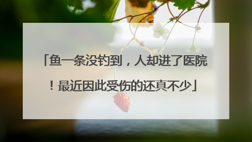 鱼一条没钓到，人却进了医院！最近因此受伤的还真不少