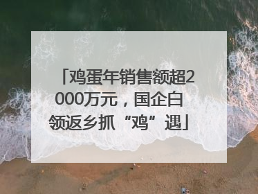 鸡蛋年销售额超2000万元，国企白领返乡抓“鸡”遇