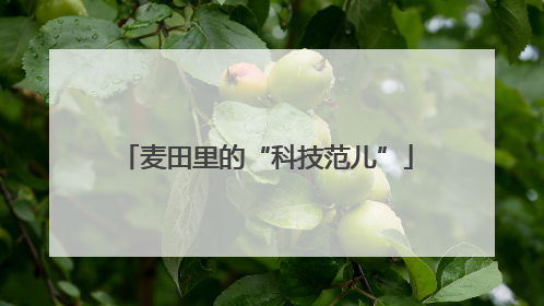 麦田里的“科技范儿”