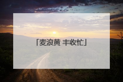 麦浪黄 丰收忙