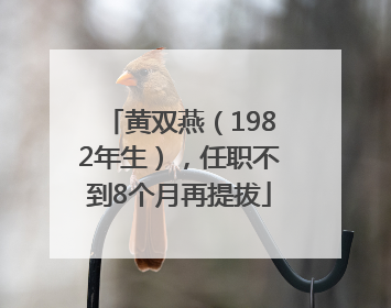 黄双燕（1982年生），任职不到8个月再提拔