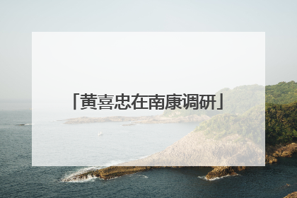 黄喜忠在南康调研