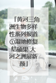 黄河三角洲生物多样性系列报道①湿地修复结硕果 大河之洲展新颜