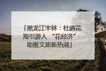 黑龙江丰林：杜鹃花海引游人 “花经济”助推文旅新热潮