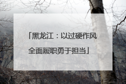 黑龙江：以过硬作风全面履职勇于担当