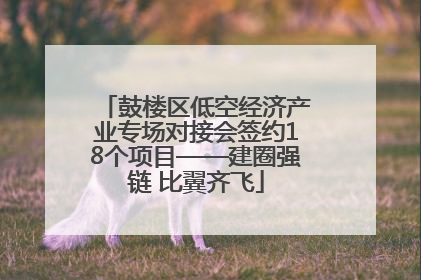 鼓楼区低空经济产业专场对接会签约18个项目——建圈强链 比翼齐飞