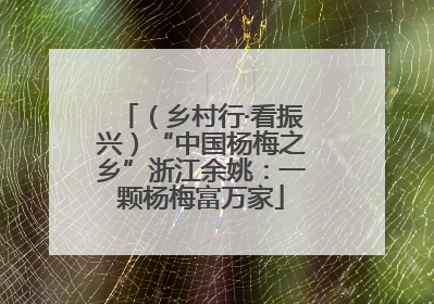 （乡村行·看振兴）“中国杨梅之乡”浙江余姚：一颗杨梅富万家