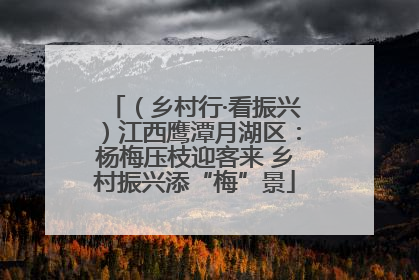 （乡村行·看振兴）江西鹰潭月湖区：杨梅压枝迎客来 乡村振兴添“梅”景