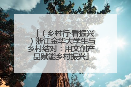 （乡村行·看振兴）浙江金华大学生与乡村结对：用文创产品赋能乡村振兴