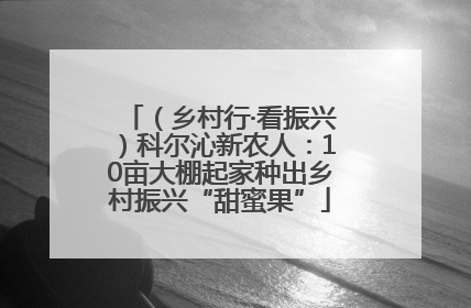 （乡村行·看振兴）科尔沁新农人：10亩大棚起家种出乡村振兴“甜蜜果”