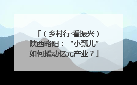 （乡村行·看振兴）陕西略阳：“小瓢儿”如何撬动亿元产业？