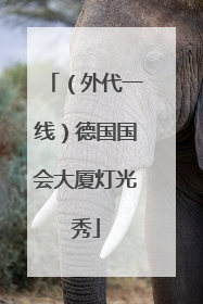 （外代一线）德国国会大厦灯光秀