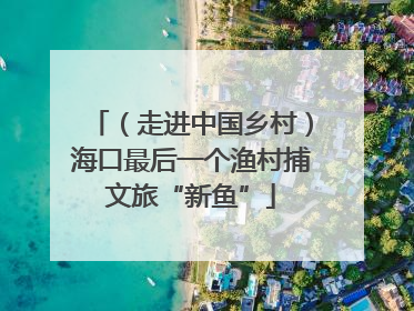 （走进中国乡村）海口最后一个渔村捕文旅“新鱼”