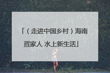 （走进中国乡村）海南疍家人 水上新生活